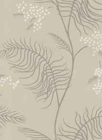 Mimosa - Designtapete von Cole and Son - Beige/ Weiß/ Grau