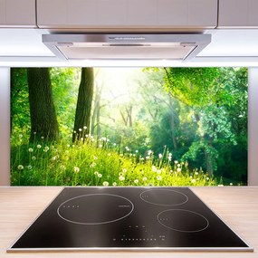 Pannello paraschizzi cucina Pianta della natura del prato 100x50 cm
