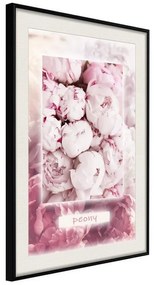 Poster  Scent of Peonies  Cornice Quadri Cornice nera con pass-partout, Larghezza x Altezza Home decor 40x60