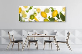 Quadro su tela – Miscela di agrumi