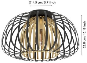 Eglo 99664 - Plafoniera ENCINITOS 1xE27/40W/230V