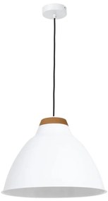 Lampadario SKAL 1xE27/60W/230V