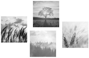 Set di quadri – Incanto del paesaggio in bianco e nero