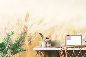 Carta da parati – Campo di grano