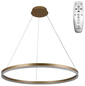 Brilagi - Lampadario a sospensione con filo LED dimmerabile CIRCLE LED/55W/230V 3000-6500K oro + +TC