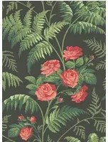Cole & Son Carta da parati Rose - Green/ Charcoal