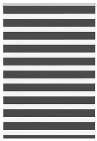 Tenda A Rullo Zebra Nero Larghezza Tessuto 90,9 Cm Poliestere /