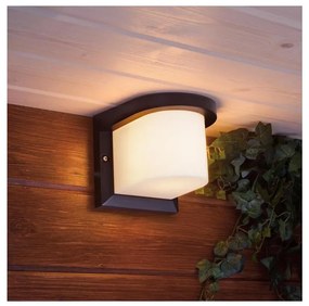 Applique da esterno PETUNIA 1xE27/60W/230V IP44 antracite