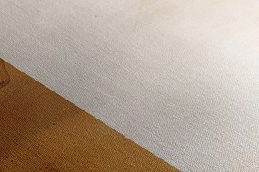 Stampa su tela – Japandi in design moderno
