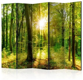 Paravento Forest Rays II [Room Dividers]