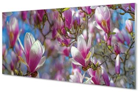 Pannello paraschizzi cucina Albero di magnolia 100x50 cm