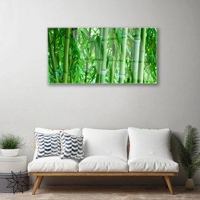 Quadro vetro acrilico Stelo di piante di bambù 100x50 cm