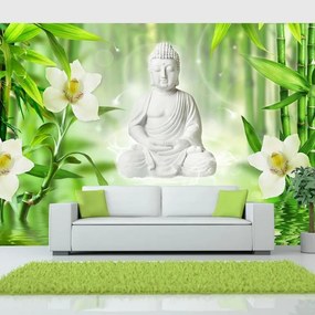 Fotomurale adesivo Buddha e natura