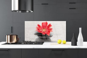 Pannello paraschizzi cucina Fiore di gerbera 100x50 cm