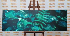 Quadro su tela – Foglie tropicali fresche