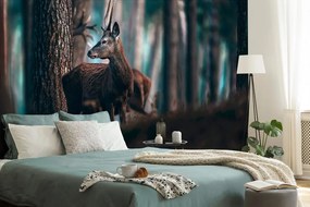 Carta da parati – Cervo nella foresta di pini