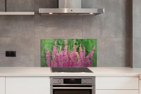 Pannello paraschizzi cucina Fiori di erica 100x50 cm
