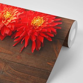 Carta da parati autoadesiva – Fiori di dalie sul legno