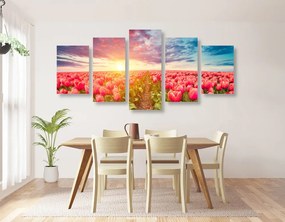 Quadri 5 pezzi – Alba su un campo di tulipani