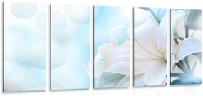 Quadri 5 pezzi – Fiore bianco di giglio su sfondo astratto