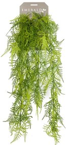 Asparagus Plumosus Artificiale 80 Cm /