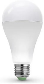 Lampadina LED LEDSTAR ECO A65 E27/20W/230V 4000K