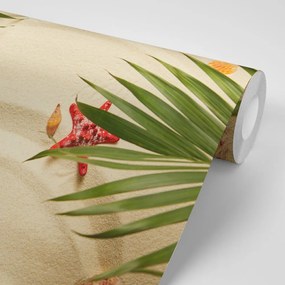 Carta da parati – Conchiglie sotto foglie di palma