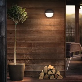 Philips 16455/93/16 - Applique a LED da esterno CAPRICORN LED/6W IP44