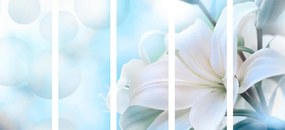 Quadri 5 pezzi – Fiore bianco di giglio su sfondo astratto