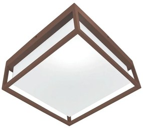 Plafoniera moderno da esterno Leon marrone IP65, 2XE27