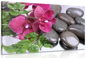 Quadro su tela – Orchidea fiorita e pietre per il benessere