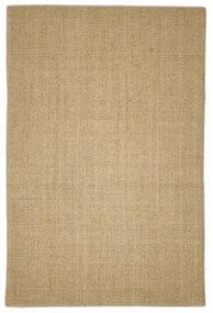 Tappeto in Sisal per Tiragraffi 66x100 cm