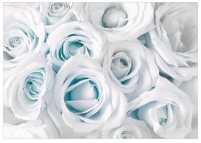 Fotomurale adesivo  Satin Rose (Turquoise)  Larghezza x Altezza Home decor 147x105