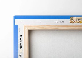 Stampa su tela – Vulcano Fuji