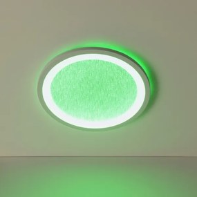 Brilliant -Plafoniera LED RGB dimmerabile TANIDA LED/22W/230V 3000-6500+RC