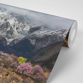 Carta da parati – Paesaggio montano unico