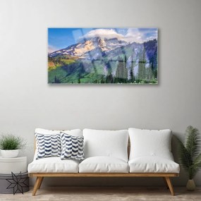 Quadro su vetro acrilico Paesaggio della natura della foresta di montagna 100x50 cm