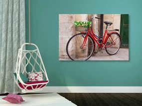 Stampa su tela – Bicicletta rustica