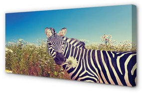 Quadro su tela Fiori zebra 100x50 cm