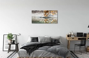 Quadro in vetro La tigre che beve 100x50 cm 2 appendini