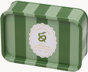 Candela profumata A Dopo Snake (Wild Lemongrass)