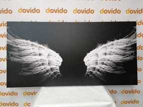 Quadro su tela – Ali d'angelo in bianco e nero