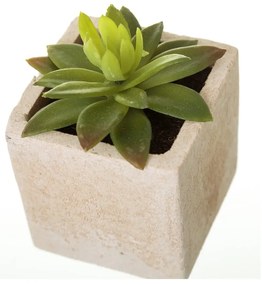 Piante artificiali in set da 6 (altezza 9,5 cm) Cactus - Casa Selección