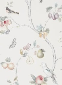 Tapete Fruit Aviary von Sanderson - Cream/ Multi