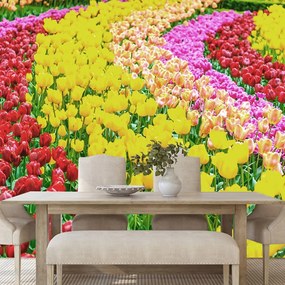 Carta da parati autoadesiva – Giardino pieno di tulipani