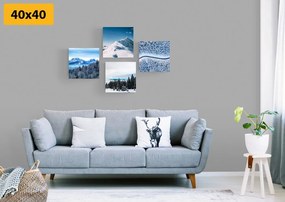 Set di quadri – Bellezze della natura innevata