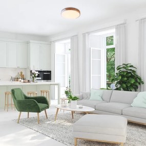 Rabalux 3527 - Plafoniera LED MAPLE LED/24W/230V bianco