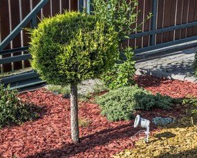 Faretto da Giardino con Picchetto GU10 - Grigio