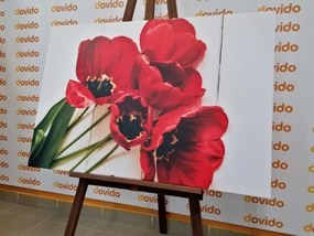 Quadro su tela – Tulipani rossi fioriti