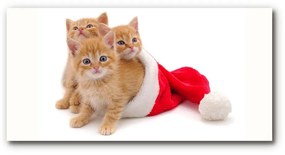 Quadro acrilico Gatti Babbo Natale 125x50 cm